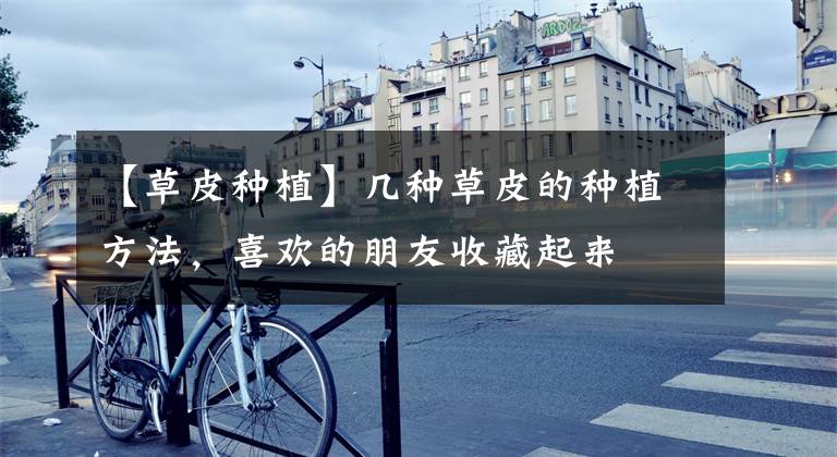 【草皮种植】几种草皮的种植方法,喜欢的朋友收藏起来