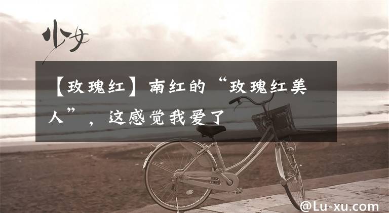 【玫瑰红】南红的“玫瑰红美人”,这感觉我爱了