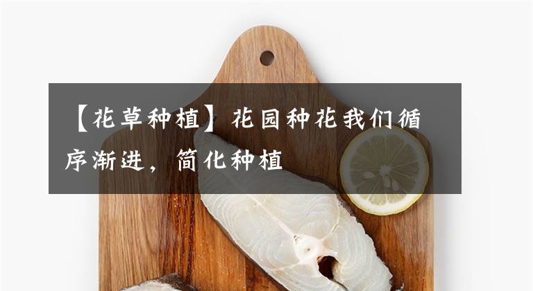 【花草种植】花园种花我们循序渐进,简化种植
