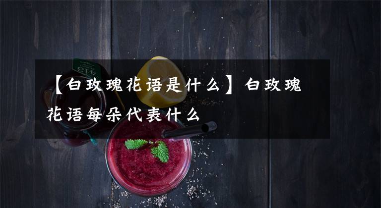 【白玫瑰花语是什么】白玫瑰花语每朵代表什么