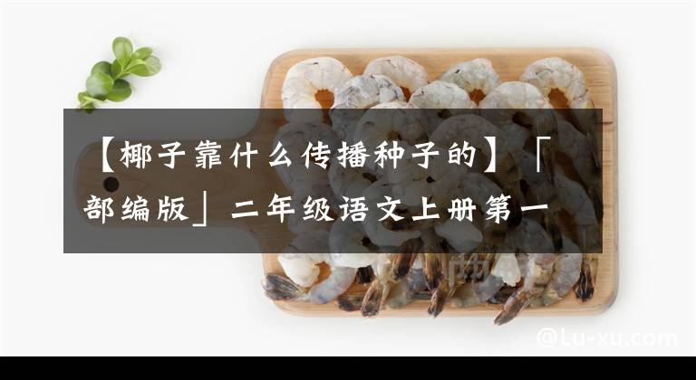 【椰子靠什么传播种子的】「部编版」二年级语文上册第一单元重要知识点(精编版)