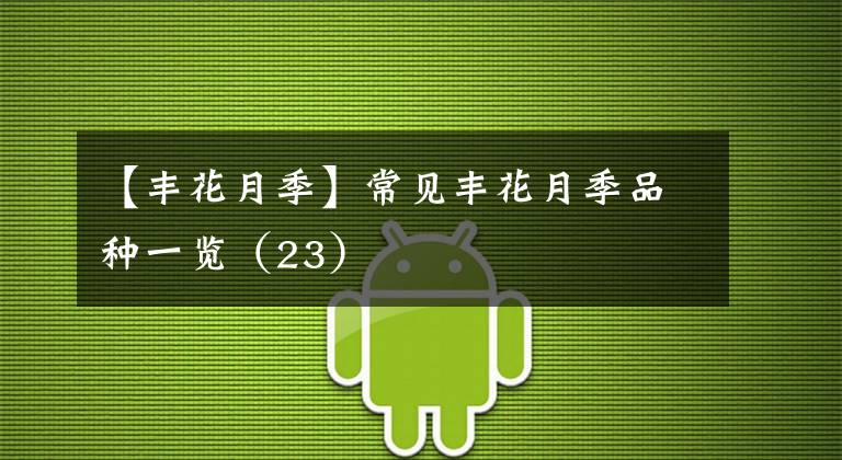 【丰花月季】常见丰花月季品种一览(23)