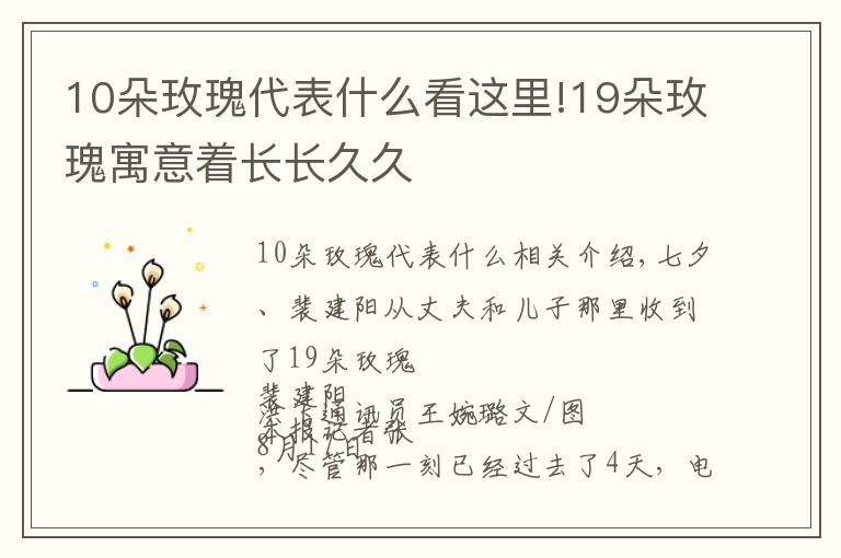 10朵玫瑰代表什么看这里!19朵玫瑰寓意着长长久久