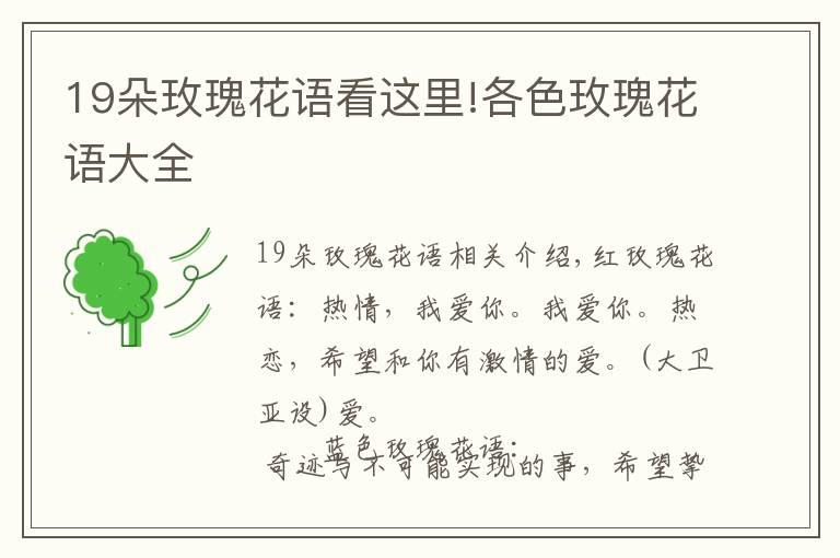 19朵玫瑰花语看这里!各色玫瑰花语大全