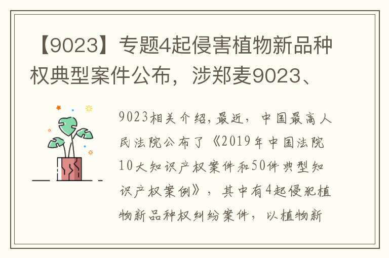 【9023】专题4起侵害植物新品种权典型案件公布，涉郑麦9023、宁麦13等！