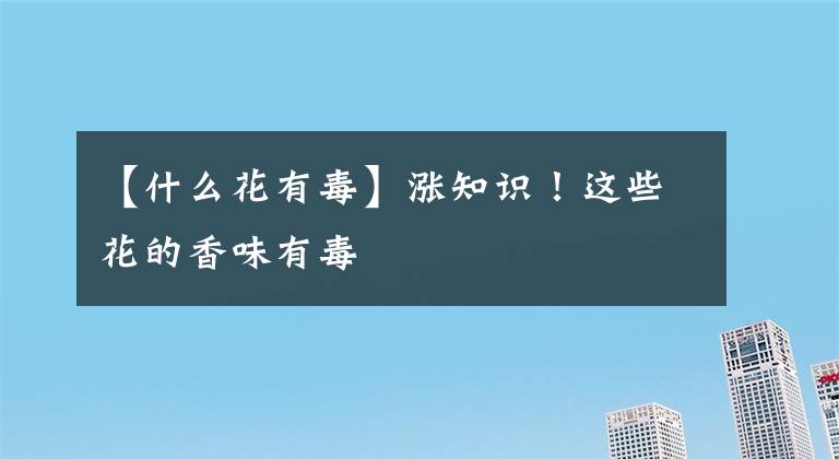 【什么花有毒】涨知识!这些花的香味有毒