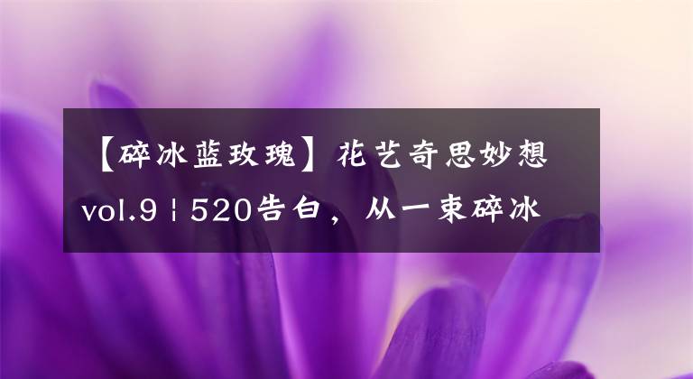 【碎冰蓝玫瑰】花艺奇思妙想vol.9 | 520告白，从一束碎冰蓝玫瑰花束开始