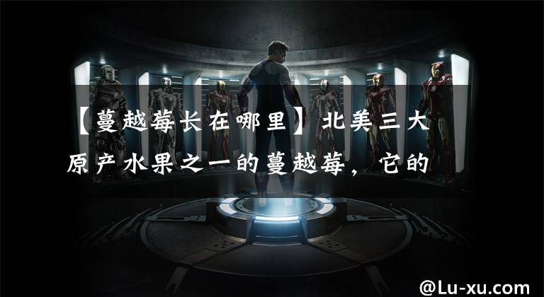 【蔓越莓长在哪里】北美三大原产水果之一的蔓越莓,它的鲜果你吃过吗?