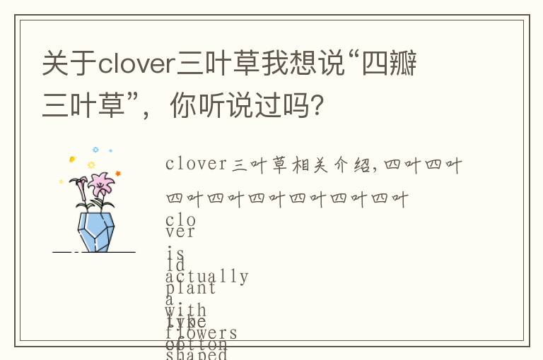 关于clover三叶草我想说“四瓣三叶草”,你听说过吗?