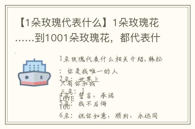 【1朵玫瑰代表什么】1朵玫瑰花……到1001朵玫瑰花,都代表什么,你知道吗?