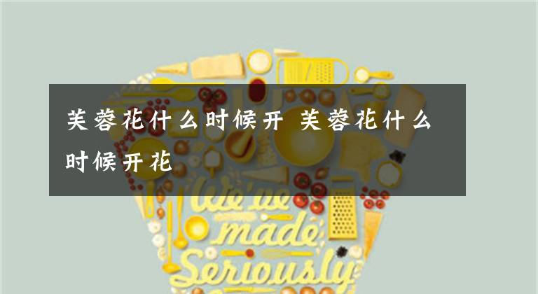 芙蓉花什么时候开 芙蓉花什么时候开花