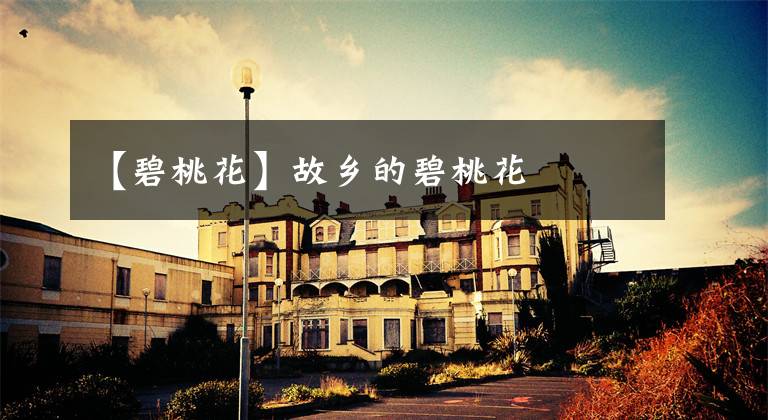 【碧桃花】故乡的碧桃花