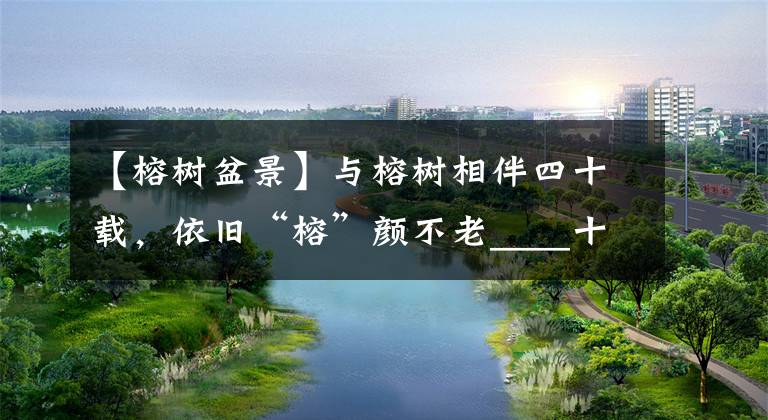 【榕树盆景】与榕树相伴四十载，依旧“榕”颜不老＿＿十二生肖榕树盆景诞生记