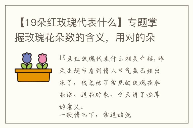 【19朵红玫瑰代表什么】专题掌握玫瑰花朵数的含义,用对的朵数送对的人!