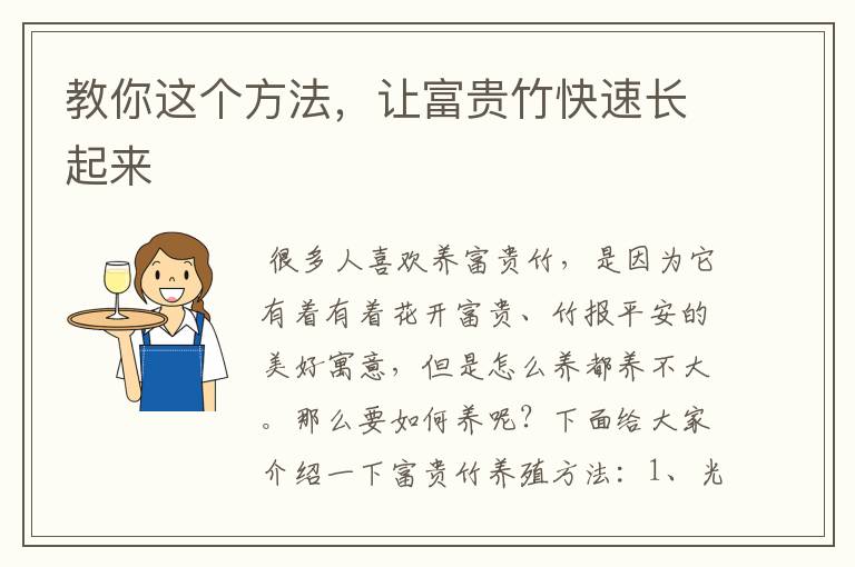 教你这个方法,让富贵竹快速长起来