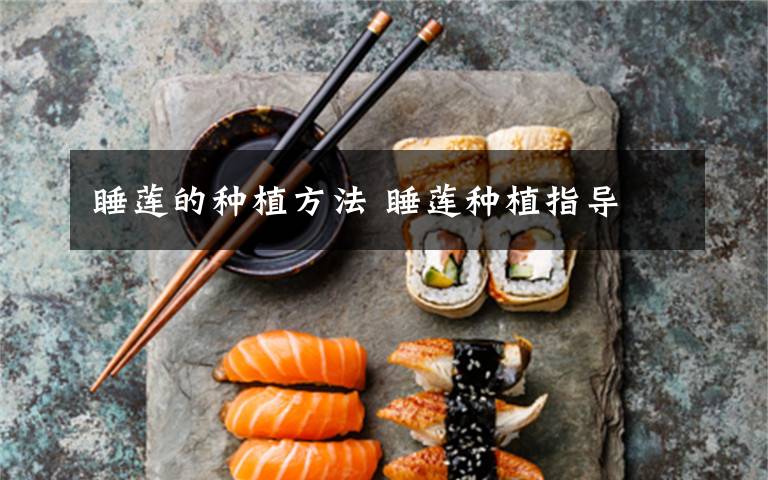 睡莲的种植方法 睡莲种植指导