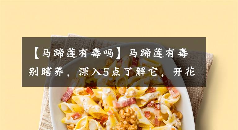 【马蹄莲有毒吗】马蹄莲有毒别瞎养,深入5点了解它,开花多又长