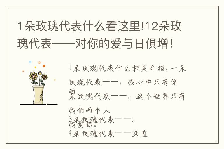 1朵玫瑰代表什么看这里!12朵玫瑰代表——对你的爱与日俱增!