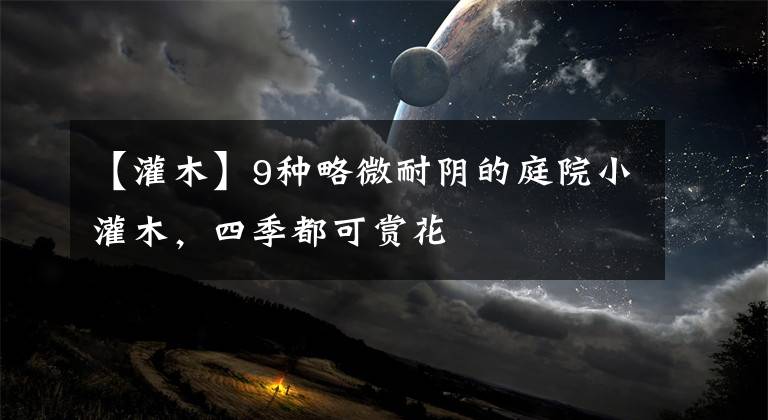 【灌木】9种略微耐阴的庭院小灌木，四季都可赏花