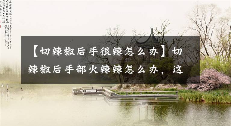 【切辣椒后手很辣怎么办】切辣椒后手部火辣辣怎么办,这几个方法效果好,赶紧学学吧