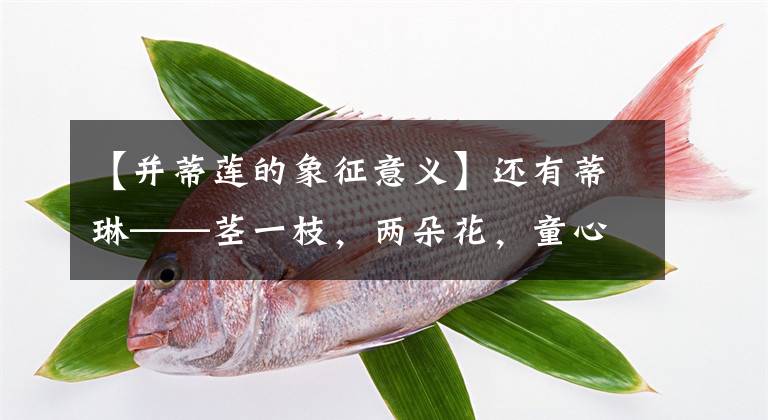 【并蒂莲的象征意义】还有蒂琳——茎一枝，两朵花，童心，童根，童衣，弟弟的象征。