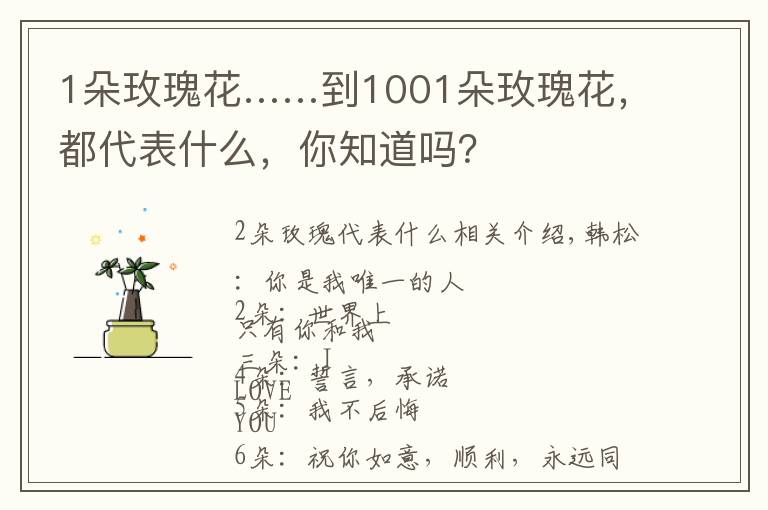 1朵玫瑰花……到1001朵玫瑰花,都代表什么,你知道吗?
