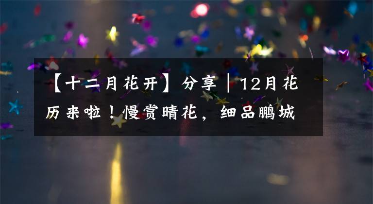 【十二月花开】分享｜12月花历来啦！慢赏晴花，细品鹏城