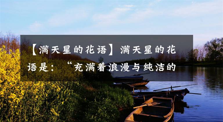 【满天星的花语】满天星的花语是:“充满着浪漫与纯洁的爱情”,你喜欢吗?