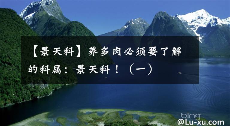 【景天科】养多肉必须要了解的科属:景天科!(一)