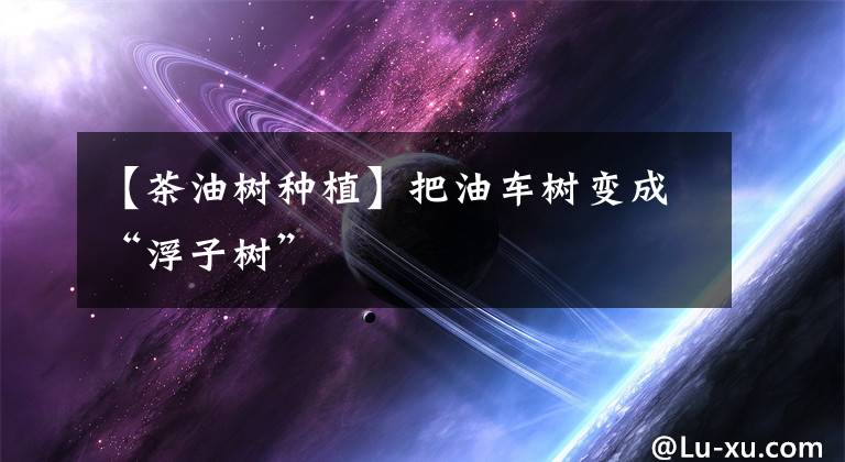 【茶油树种植】把油车树变成“浮子树”