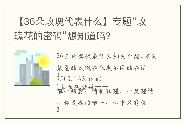 【36朵玫瑰代表什么】专题“玫瑰花的密码”想知道吗?