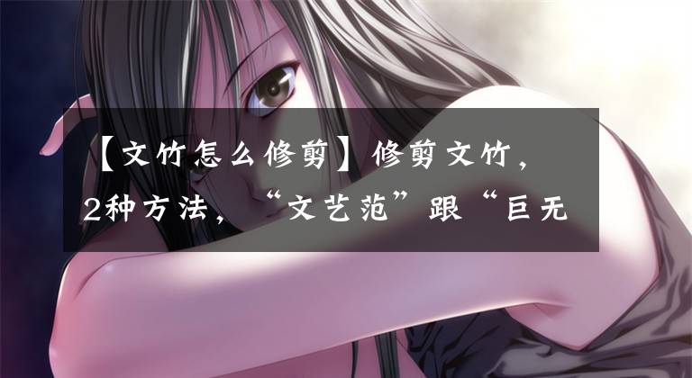 【文竹怎么修剪】修剪文竹，2种方法，“文艺范”跟“巨无霸”，你喜欢哪一种？