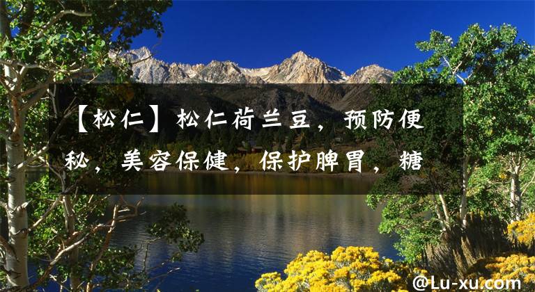 【松仁】松仁荷兰豆,预防便秘,美容保健,保护脾胃,糖尿病者的辅助食品