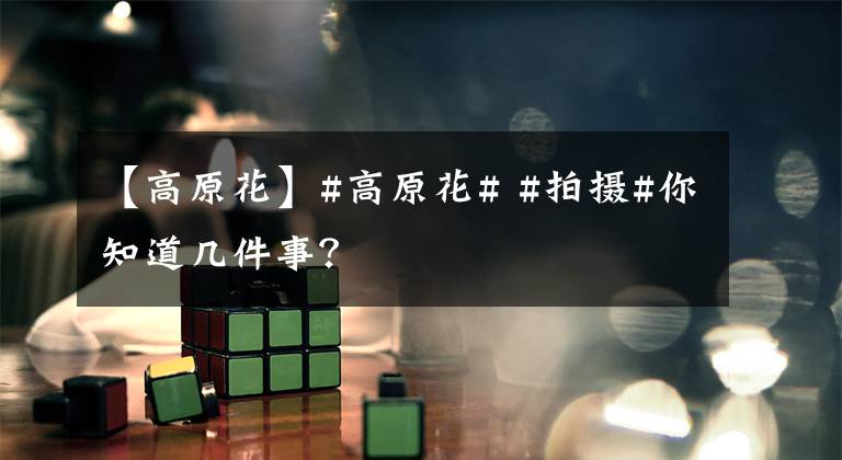 【高原花】#高原花# #拍摄#你知道几件事?