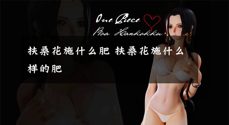 扶桑花施什么肥 扶桑花施什么样的肥