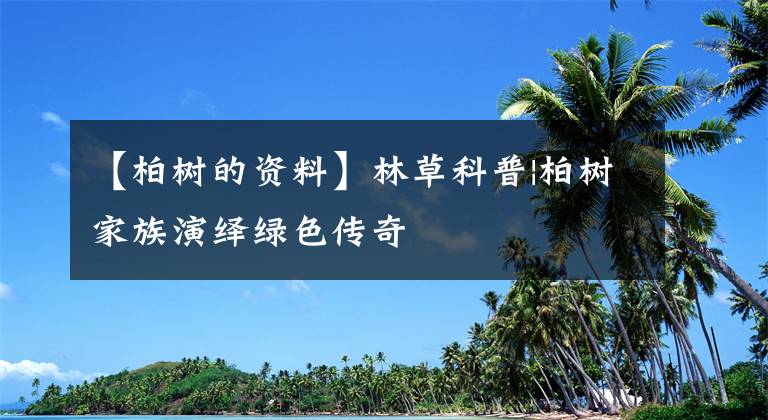 【柏树的资料】林草科普|柏树家族演绎绿色传奇