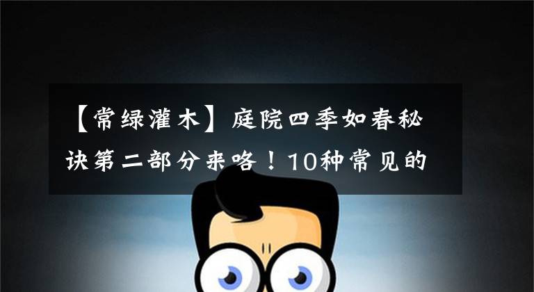【常绿灌木】庭院四季如春秘诀第二部分来咯!10种常见的常绿灌木你都知道吗?