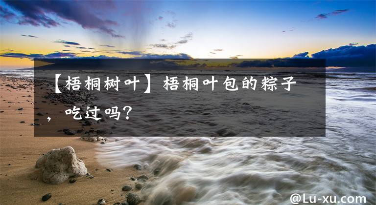 【梧桐树叶】梧桐叶包的粽子,吃过吗?