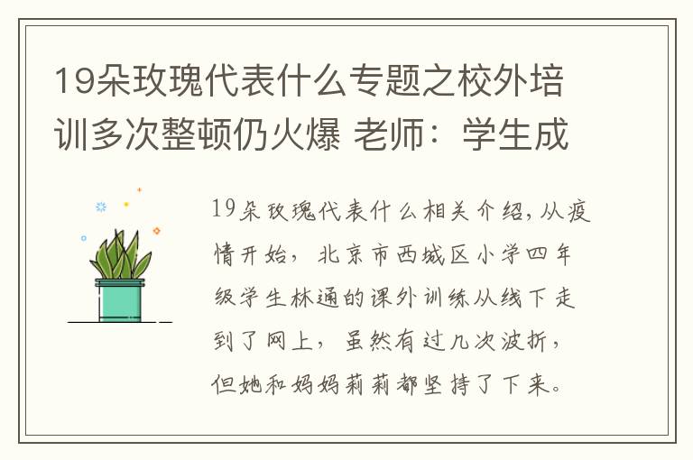 19朵玫瑰代表什么专题之校外培训多次整顿仍火爆 老师:学生成长除了知识还要留白