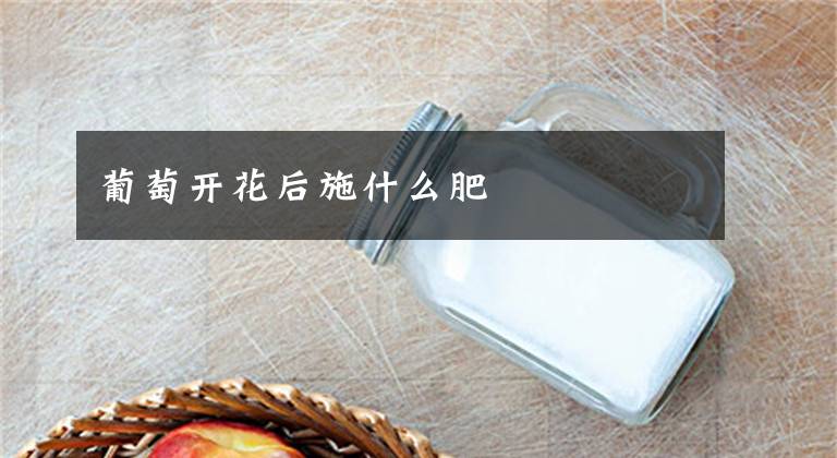 葡萄开花后施什么肥