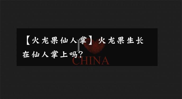 【火龙果仙人掌】火龙果生长在仙人掌上吗?