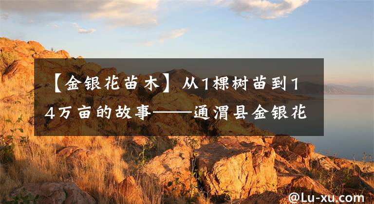 【金银花苗木】从1棵树苗到14万亩的故事——通渭县金银花产业发展见闻