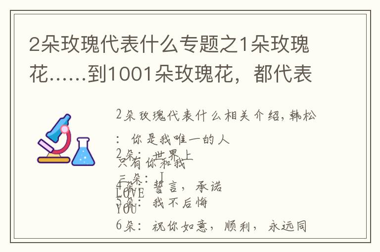 2朵玫瑰代表什么专题之1朵玫瑰花……到1001朵玫瑰花,都代表什么,你知道吗?