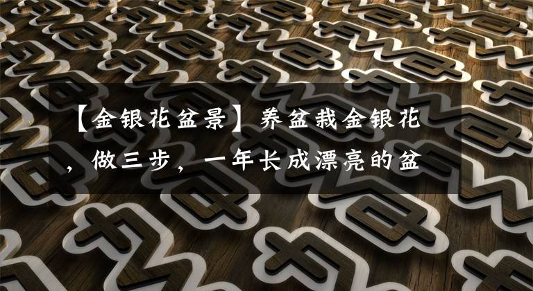 【金银花盆景】养盆栽金银花，做三步，一年长成漂亮的盆景，爬藤快花很多