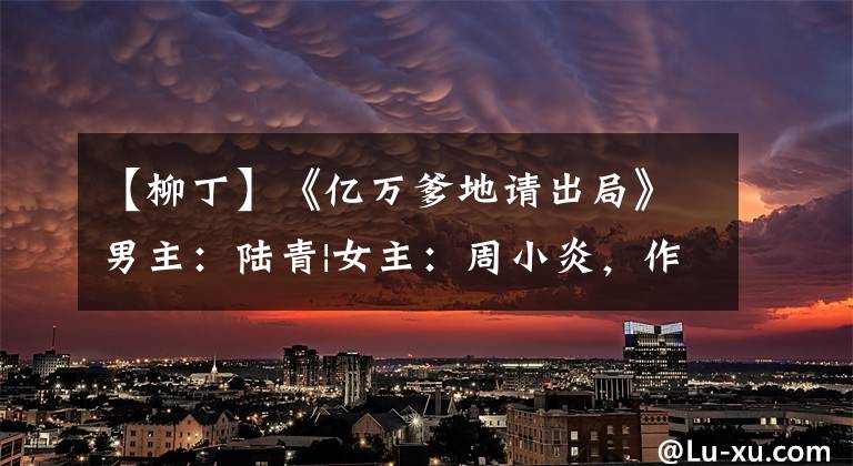 【柳丁】《亿万爹地请出局》男主:陆青|女主:周小炎,作者:柳丁