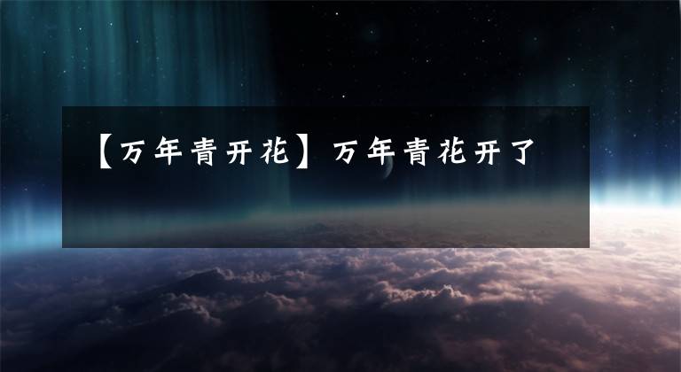 【万年青开花】万年青花开了