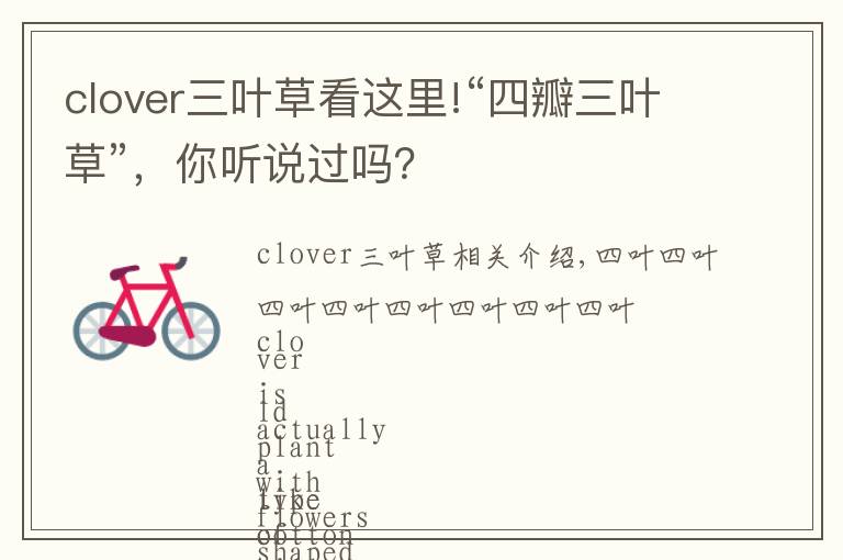clover三叶草看这里!“四瓣三叶草”,你听说过吗?