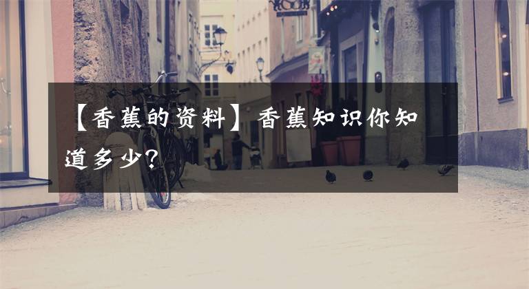 【香蕉的资料】香蕉知识你知道多少？