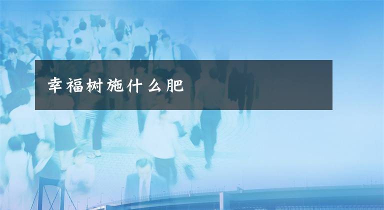 幸福树施什么肥