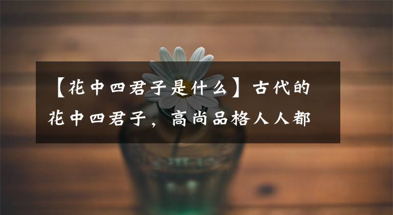 【花中四君子是什么】古代的花中四君子,高尚品格人人都爱学,你最爱哪种?